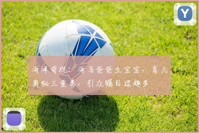 海洋奇观：海马爸爸生宝宝，育儿奥秘三重奏，引众瞩目逗趣多