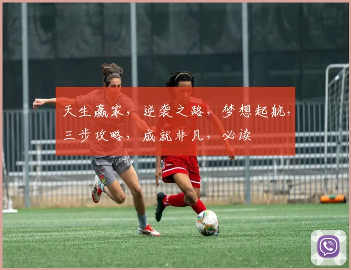 天生赢家，逆袭之路，梦想起航，三步攻略，成就非凡，必读