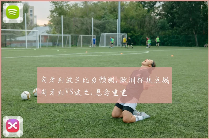 匈牙利波兰比分预测,欧洲杯焦点战匈牙利VS波兰,悬念重重