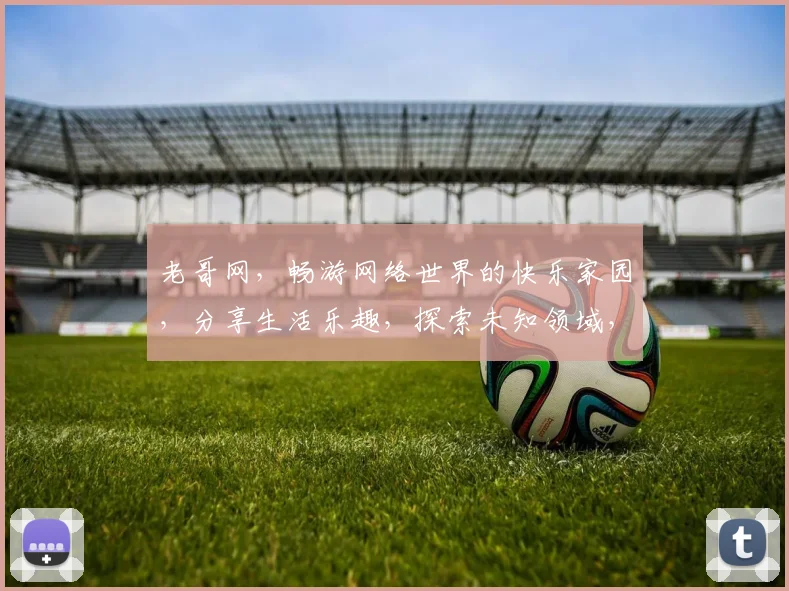 老哥网，畅游网络世界的快乐家园，分享生活乐趣，探索未知领域，两逗之间，乐趣无穷
