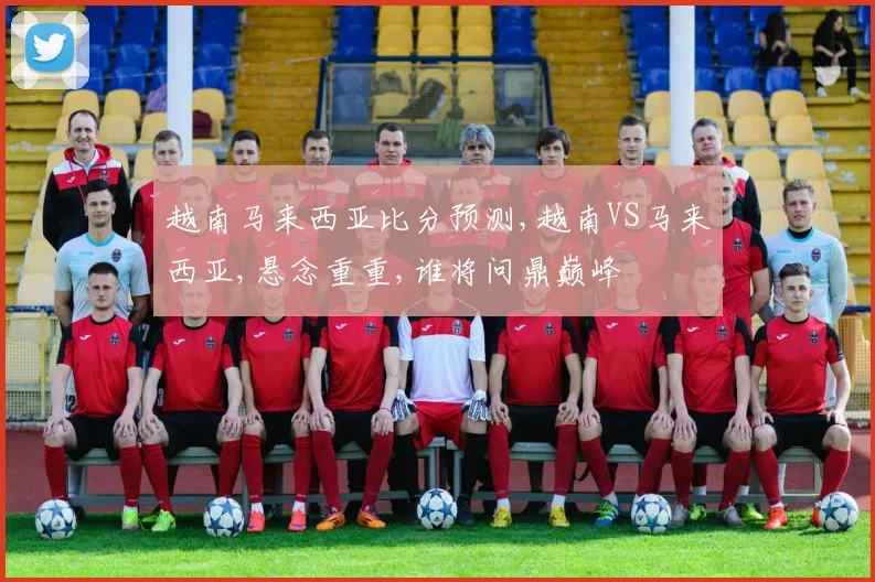 越南马来西亚比分预测,越南VS马来西亚,悬念重重,谁将问鼎巅峰