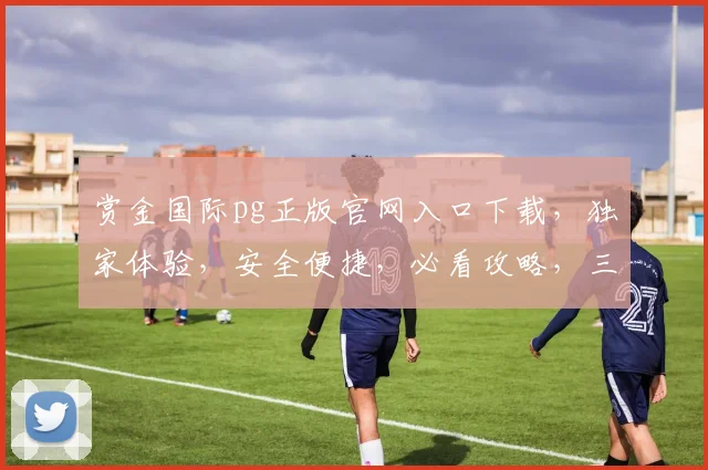 赏金国际pg正版官网入口下载，独家体验，安全便捷，必看攻略，三步轻松搞定